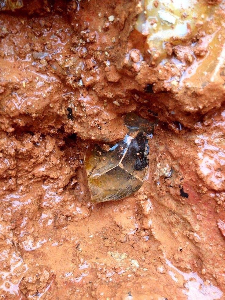 Diamant Brut sur Gangue